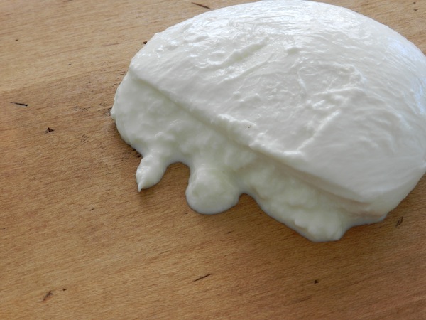 burrata cheese