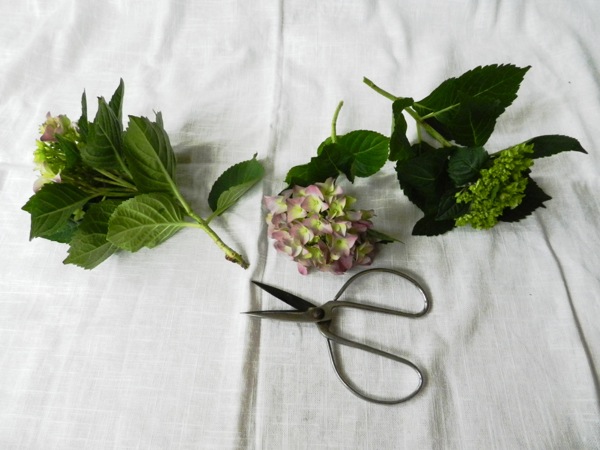 hydrangea arrangement