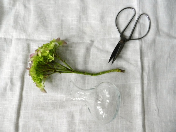 hydrangea arrangement