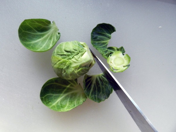 sauteed brussel sprout leaves