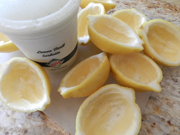 lemon sorbet cups