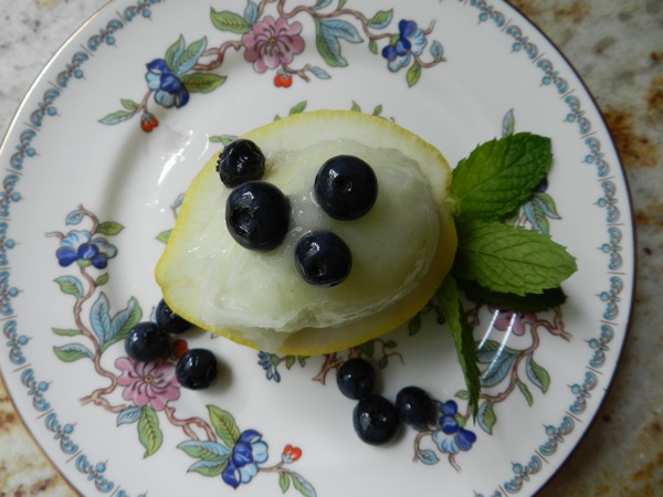 lemon sorbet with blueberries