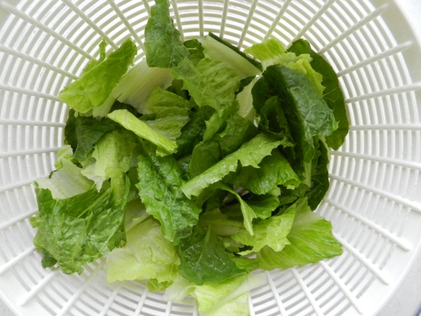 flank steak salad