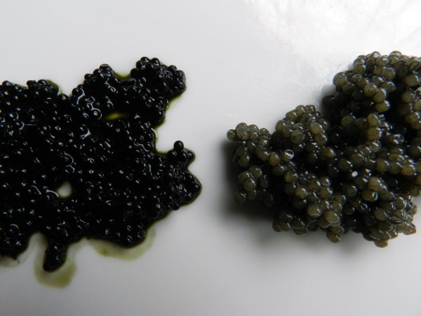 caviar