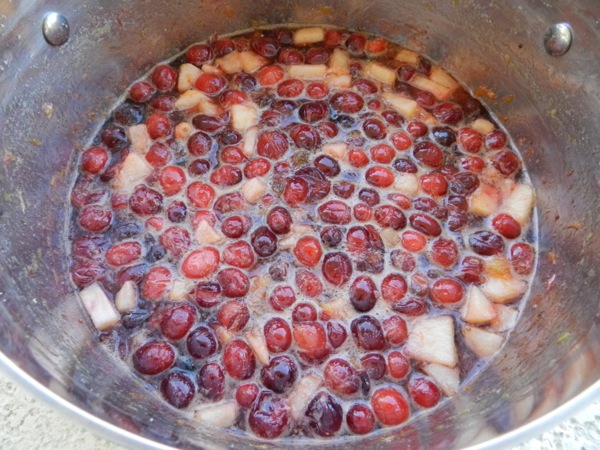 cranberry chutney