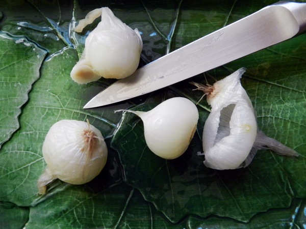 pearl onions